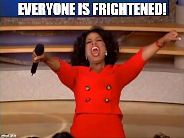 Oprah You Get A Meme | EVERYONE IS FRIGHTENED! | image tagged in memes,oprah you get a | made w/ Imgflip meme maker