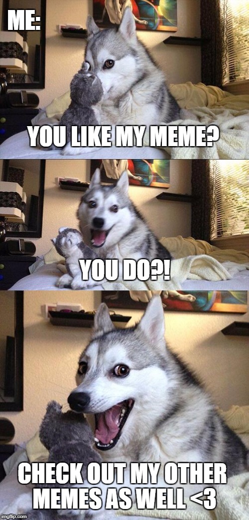 YOU LIKEY?? | ME: YOU LIKE MY MEME? CHECK OUT MY OTHER MEMES AS WELL <3 YOU DO?! | image tagged in memes,bad pun dog,funny,doge,lol,animals | made w/ Imgflip meme maker