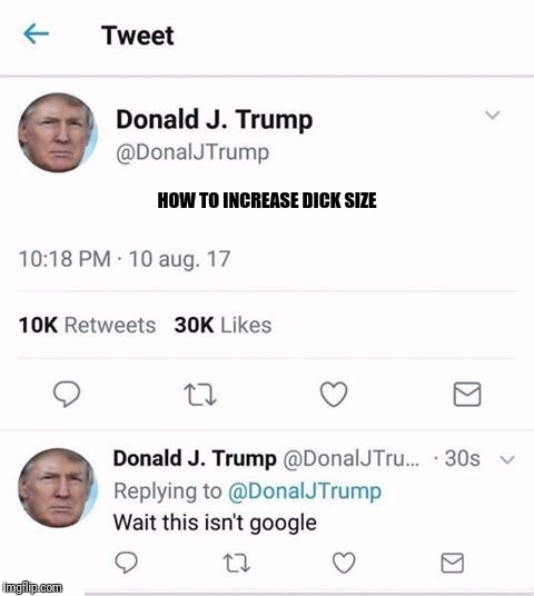 Trump Twitter | HOW TO INCREASE DICK SIZE | image tagged in trump twitter | made w/ Imgflip meme maker