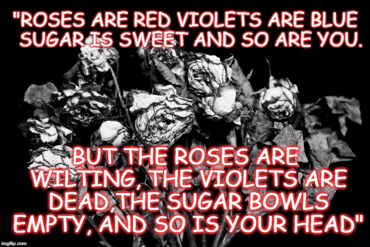 dead flowers | "ROSES ARE RED VIOLETS ARE BLUE  SUGAR IS SWEET AND SO ARE YOU. BUT THE ROSES ARE WILTING, THE VIOLETS ARE DEAD,THE SUGAR BOWLS EMPTY, AND SO IS YOUR HEAD" | image tagged in dead flowers | made w/ Imgflip meme maker