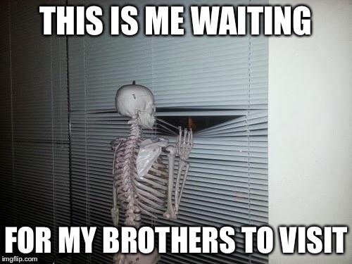 Skeleton Looking Out Window | THIS IS ME WAITING; FOR MY BROTHERS TO VISIT | image tagged in skeleton looking out window | made w/ Imgflip meme maker