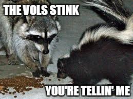 THE VOLS STINK YOU'RE TELLIN' ME | made w/ Imgflip meme maker