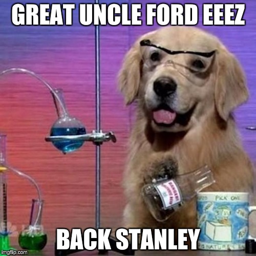 I Have No Idea What I Am Doing Dog Meme | GREAT UNCLE FORD EEEZ; BACK STANLEY | image tagged in memes,i have no idea what i am doing dog | made w/ Imgflip meme maker
