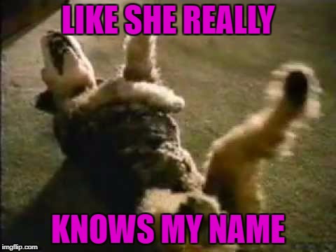 LIKE SHE REALLY KNOWS MY NAME | made w/ Imgflip meme maker