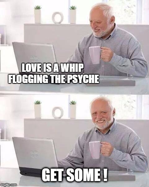 Hide the Pain Harold | LOVE IS A WHIP FLOGGING THE PSYCHE; GET SOME ! | image tagged in memes,hide the pain harold,whip,whip nae nae,leather,get some | made w/ Imgflip meme maker