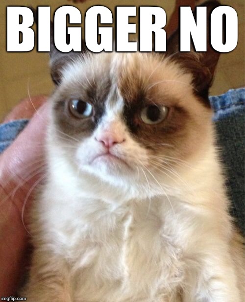 Grumpy Cat Meme | BIGGER NO | image tagged in memes,grumpy cat | made w/ Imgflip meme maker