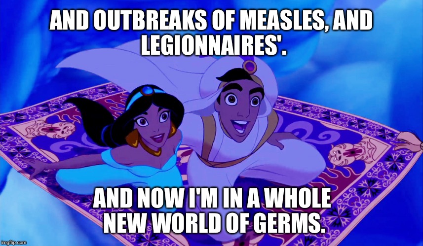 Aladdin and Jasmine carpet ride | AND OUTBREAKS OF MEASLES,
AND LEGIONNAIRES'. AND NOW I'M IN A WHOLE NEW WORLD OF GERMS. | image tagged in aladdin and jasmine carpet ride | made w/ Imgflip meme maker