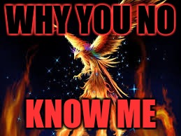 WHY YOU NO; KNOW ME | image tagged in phoenix | made w/ Imgflip meme maker