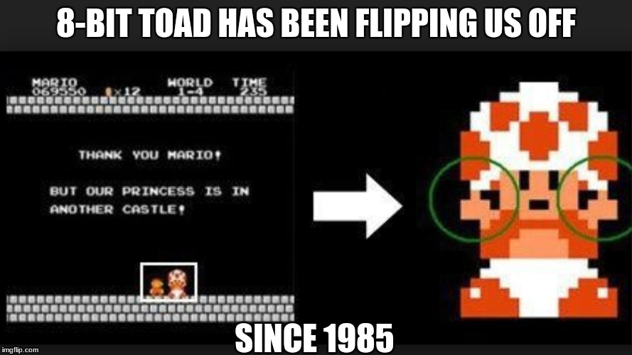 offensive toad | 8-BIT TOAD HAS BEEN FLIPPING US OFF; SINCE 1985 | image tagged in toad,flipping off | made w/ Imgflip meme maker