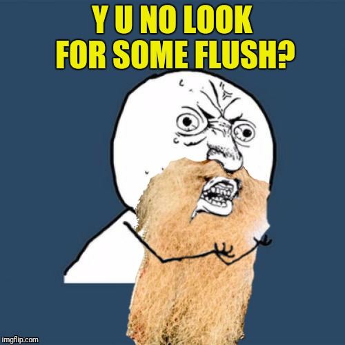 Y U NO LOOK FOR SOME FLUSH? | made w/ Imgflip meme maker