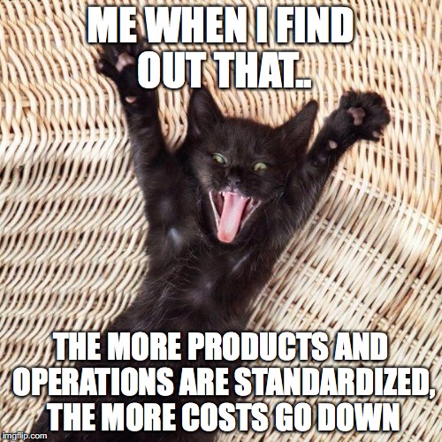 Happy cat  | ME WHEN I FIND OUT THAT.. THE MORE PRODUCTS AND OPERATIONS ARE STANDARDIZED, THE MORE COSTS GO DOWN | image tagged in happy cat | made w/ Imgflip meme maker