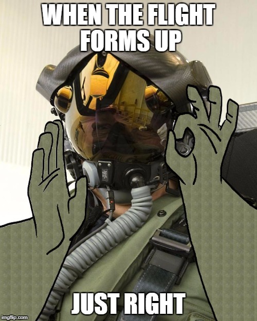 WHEN THE FLIGHT FORMS UP; JUST RIGHT | image tagged in fighter pilot pacha | made w/ Imgflip meme maker