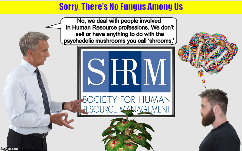 Sorry, There's No Fungus Among Us | image tagged in psychedelic,shrooms,shrm,funny,memes,mushrooms | made w/ Imgflip meme maker