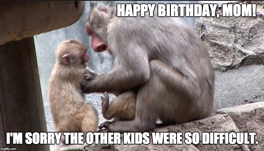 Mother | HAPPY BIRTHDAY, MOM! I'M SORRY THE OTHER KIDS WERE SO DIFFICULT. | image tagged in mother | made w/ Imgflip meme maker