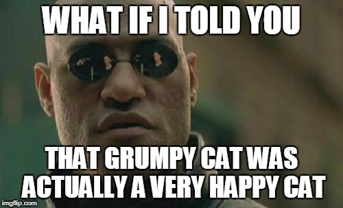 Matrix Morpheus Meme | WHAT IF I TOLD YOU; THAT GRUMPY CAT WAS ACTUALLY A VERY HAPPY CAT | image tagged in memes,matrix morpheus | made w/ Imgflip meme maker