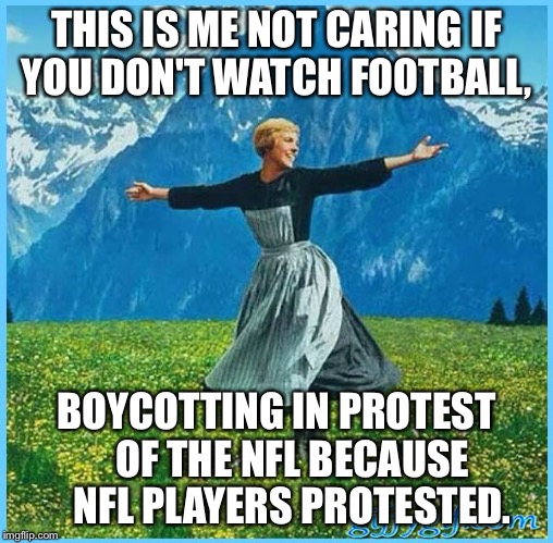 This is me not caring | THIS IS ME NOT CARING IF YOU DON'T WATCH FOOTBALL, BOYCOTTING IN PROTEST   
OF THE NFL BECAUSE    
NFL PLAYERS PROTESTED. | image tagged in this is me not caring | made w/ Imgflip meme maker