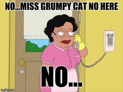 Miss Grumpy Cat no aqui | NO...MISS GRUMPY CAT NO HERE; NO... | image tagged in memes,grumpy cat,consuela | made w/ Imgflip meme maker