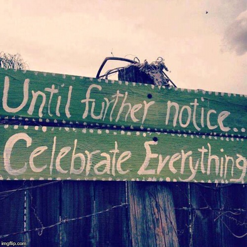 Celebrate everything | image tagged in celebrate everything | made w/ Imgflip meme maker