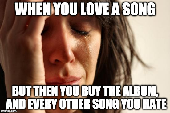 First World Problems | WHEN YOU LOVE A SONG; BUT THEN YOU BUY THE ALBUM, AND EVERY OTHER SONG YOU HATE | image tagged in memes,first world problems | made w/ Imgflip meme maker