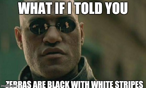 Matrix Morpheus Meme | WHAT IF I TOLD YOU; ZEBRAS ARE BLACK WITH WHITE STRIPES | image tagged in memes,matrix morpheus | made w/ Imgflip meme maker