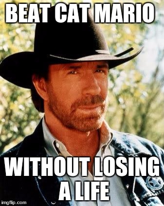 Chuck Norris Can Beat Cat Mario | BEAT CAT MARIO; WITHOUT LOSING A LIFE | image tagged in memes,chuck norris | made w/ Imgflip meme maker