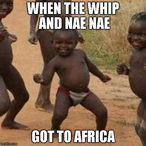Third World Success Kid Meme | WHEN THE WHIP AND NAE NAE; GOT TO AFRICA | image tagged in memes,third world success kid | made w/ Imgflip meme maker