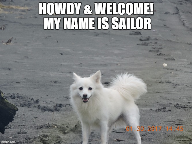 Sailor | HOWDY & WELCOME! MY NAME IS SAILOR | image tagged in dog | made w/ Imgflip meme maker