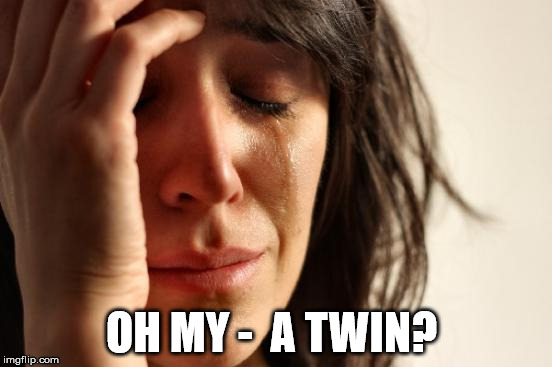 First World Problems Meme | OH MY -  A TWIN? | image tagged in memes,first world problems | made w/ Imgflip meme maker