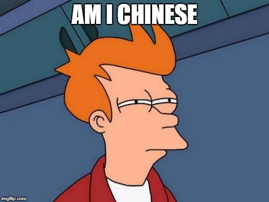 Futurama Fry Meme | AM I CHINESE | image tagged in memes,futurama fry | made w/ Imgflip meme maker