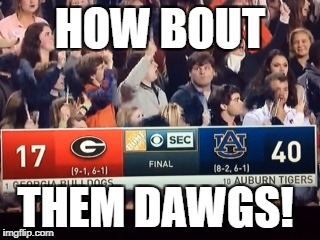 HOW BOUT; THEM DAWGS! | made w/ Imgflip meme maker