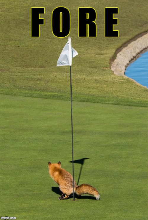 Golf Etiquette | F O R E | image tagged in golf,golfing,hole in one | made w/ Imgflip meme maker