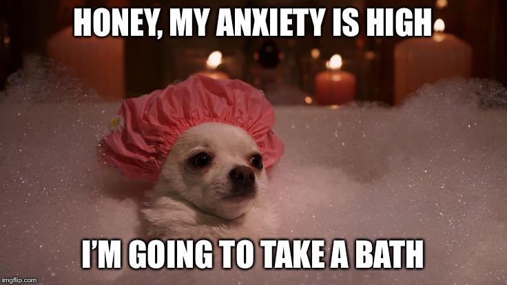 Chihuahua Bubble Bath | HONEY, MY ANXIETY IS HIGH; I’M GOING TO TAKE A BATH | image tagged in chihuahua bubble bath | made w/ Imgflip meme maker