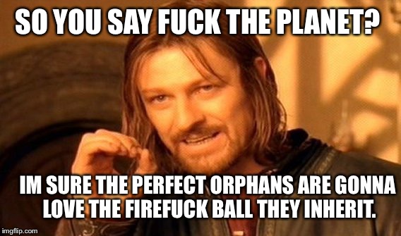 One Does Not Simply Meme | SO YOU SAY F**K THE PLANET? IM SURE THE PERFECT ORPHANS ARE GONNA LOVE THE FIREF**K BALL THEY INHERIT. | image tagged in memes,one does not simply | made w/ Imgflip meme maker