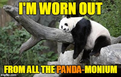 It's More Than I Could Bear | I'M WORN OUT; FROM ALL THE PANDA-MONIUM; PANDA- | image tagged in lazy panda,memes,bad luck bear,right to bear arms,so hot right now,lazy memes | made w/ Imgflip meme maker