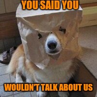 I'm not your dog | YOU SAID YOU WOULDN'T TALK ABOUT US | image tagged in i'm not your dog | made w/ Imgflip meme maker