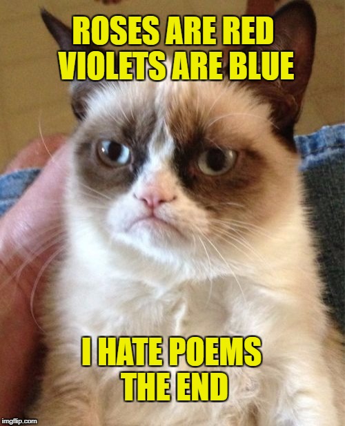 Grumpy Cat Meme | ROSES ARE RED VIOLETS ARE BLUE; I HATE POEMS THE END | image tagged in memes,grumpy cat | made w/ Imgflip meme maker