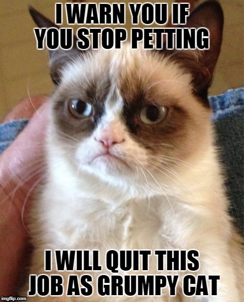 Grumpy Cat Meme | I WARN YOU IF YOU STOP PETTING; I WILL QUIT THIS JOB AS GRUMPY CAT | image tagged in memes,grumpy cat | made w/ Imgflip meme maker