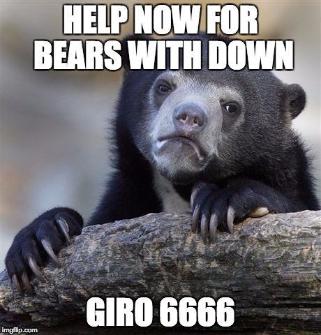 Confession Bear | HELP NOW FOR BEARS WITH DOWN; GIRO 6666 | image tagged in memes,confession bear | made w/ Imgflip meme maker