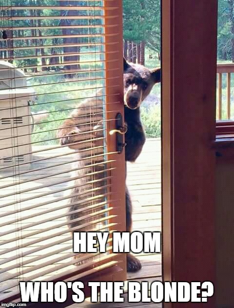 hey mom | WHO'S THE BLONDE? HEY MOM | image tagged in bear at the door,bear | made w/ Imgflip meme maker