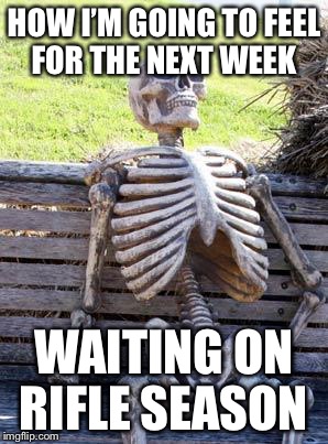 Waiting Skeleton Meme | HOW I’M GOING TO FEEL FOR THE NEXT WEEK; WAITING ON RIFLE SEASON | image tagged in memes,waiting skeleton | made w/ Imgflip meme maker