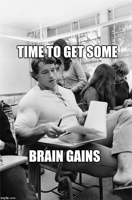 TIME TO GET SOME; BRAIN GAINS | image tagged in arnie | made w/ Imgflip meme maker