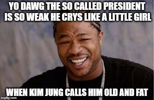 Yo Dawg Heard You Meme | YO DAWG THE SO CALLED PRESIDENT IS SO WEAK HE CRYS LIKE A LITTLE GIRL; WHEN KIM JUNG CALLS HIM OLD AND FAT | image tagged in memes,yo dawg heard you | made w/ Imgflip meme maker