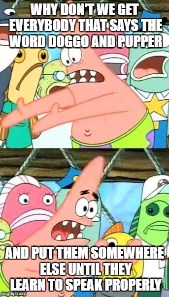 Put It Somewhere Else Patrick | WHY DON'T WE GET EVERYBODY THAT SAYS THE WORD DOGGO AND PUPPER; AND PUT THEM SOMEWHERE ELSE UNTIL THEY LEARN TO SPEAK PROPERLY | image tagged in memes,put it somewhere else patrick | made w/ Imgflip meme maker