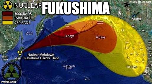 Fukushima | FUKUSHIMA | image tagged in fukushima | made w/ Imgflip meme maker