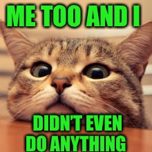 ME TOO AND I DIDN’T EVEN DO ANYTHING | made w/ Imgflip meme maker