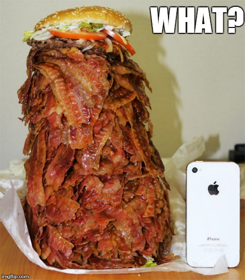 The bacon is under the burger....so what? | WHAT? | image tagged in life | made w/ Imgflip meme maker