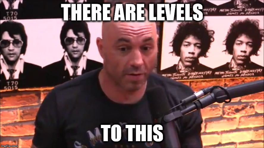 Joe Rogan JRE | THERE ARE LEVELS; TO THIS | image tagged in joe rogan jre | made w/ Imgflip meme maker