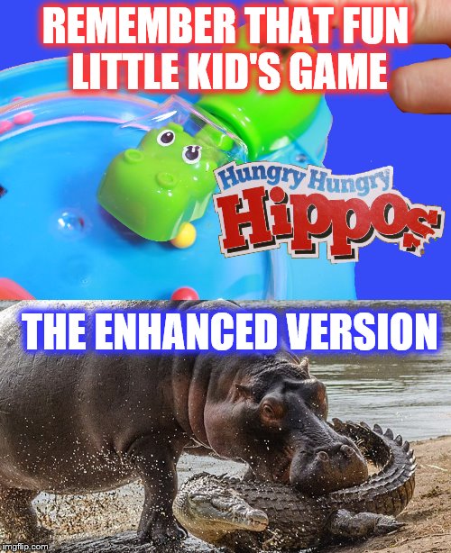 Don't get this for your kids no matter how much they beg | REMEMBER THAT FUN LITTLE KID'S GAME; THE ENHANCED VERSION | image tagged in games,hungry,hippopotamus | made w/ Imgflip meme maker