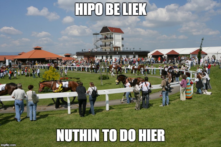 1zafrj.jpg