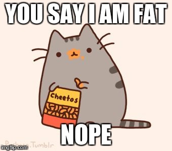 pusheen eat da cheetos  | YOU SAY I AM FAT; NOPE | image tagged in pusheen stole the cheetos | made w/ Imgflip meme maker